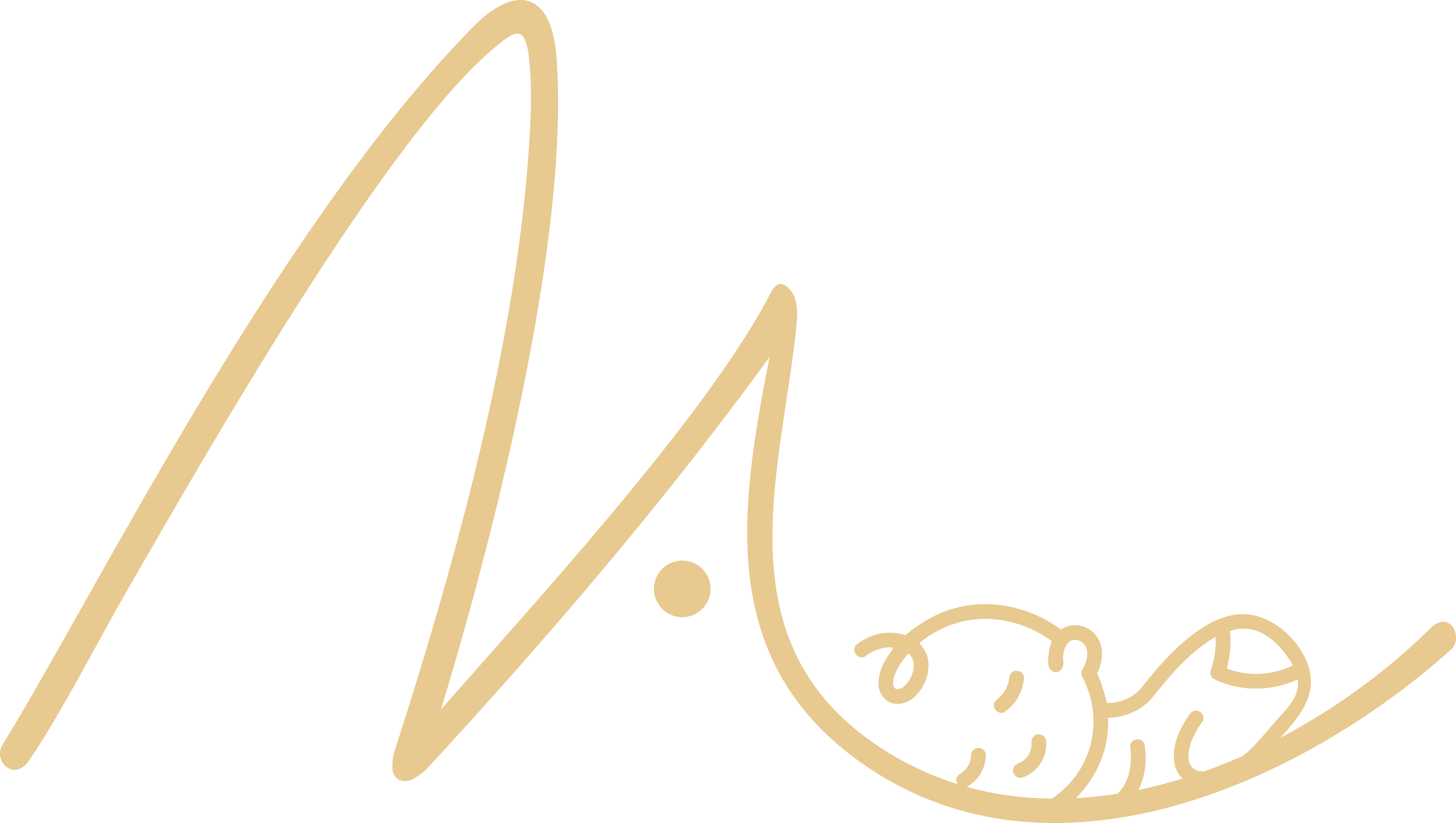 Dra. Marina Arrais